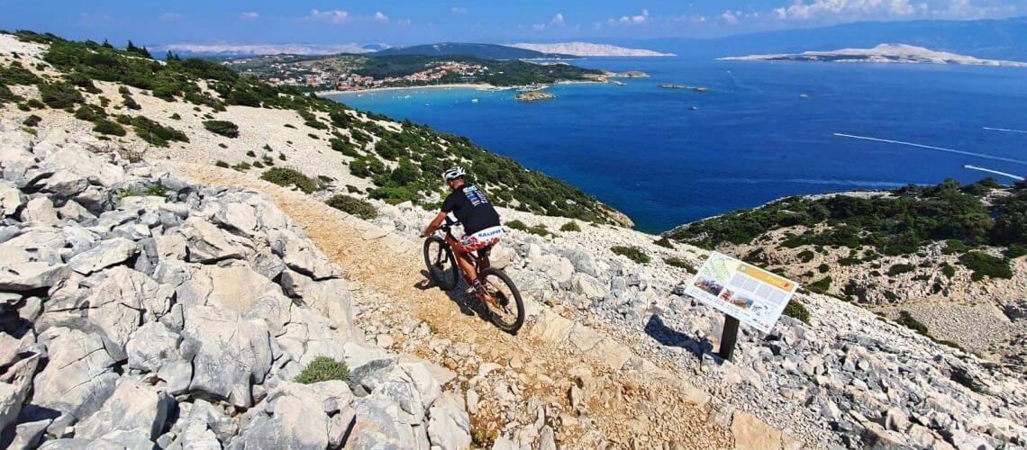 E-Bike Vacation Planning Guide: Your Complete Travel Companion with MoVcan Movcan