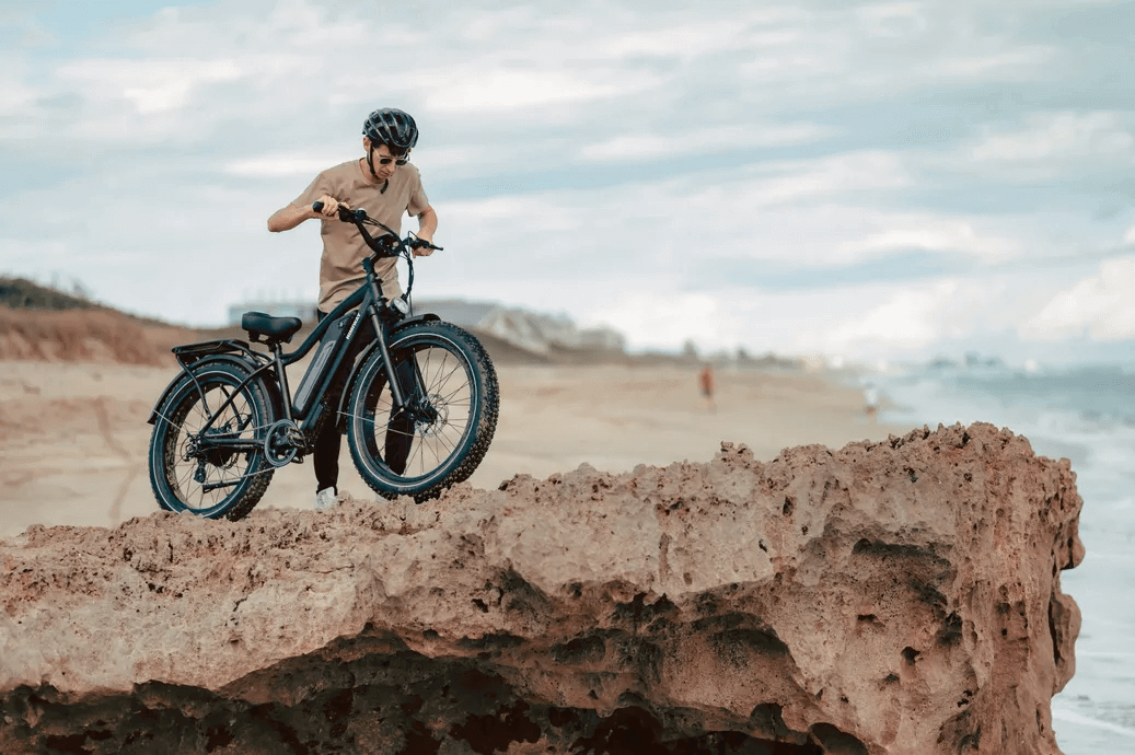 rad power electric bicycle RadRunner™ Plus – American Iron Cycles inspiring stability Surf Spinning Rods Model:TSAWESS-1142XH fitness GT73 electric dirt bike