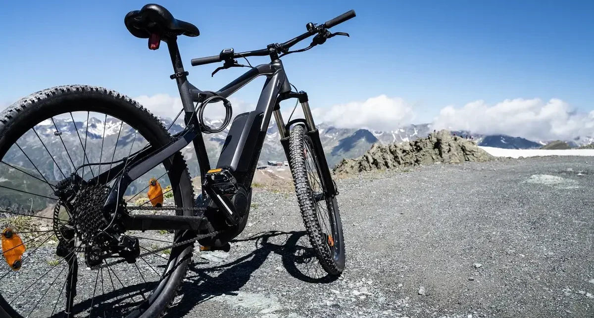 E-Bike Performance in Extreme Temperatures: Climate Guide Movcan