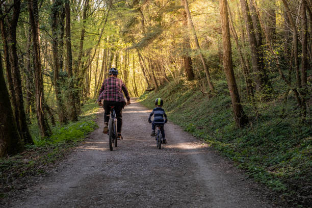 Forest-Friendly Cycling: the Impact of Electric Mountain Bikes on Ecosystems Movcan