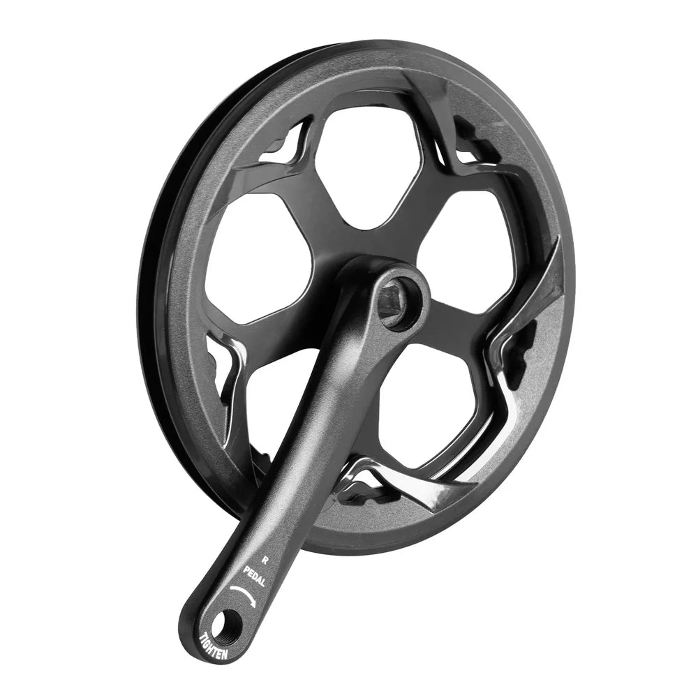 Left Crank and Chainring