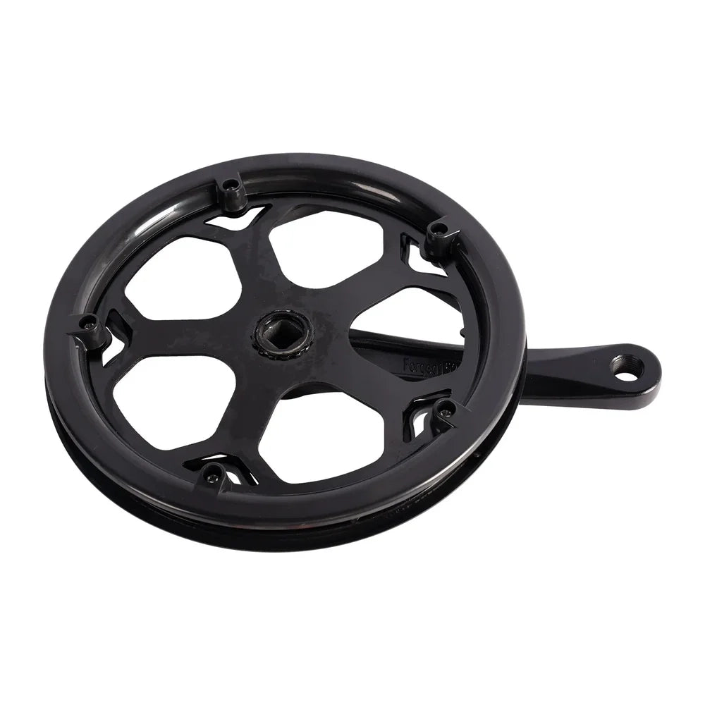 Left Crank and Chainring