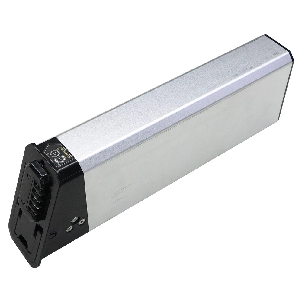 Q20 Battery