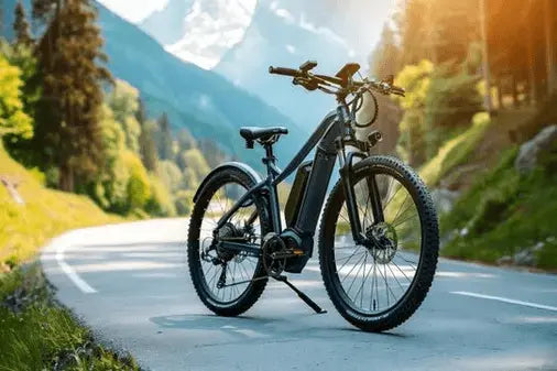 Understanding Florida E-Bike Laws: Everything You Need to Know Movcan