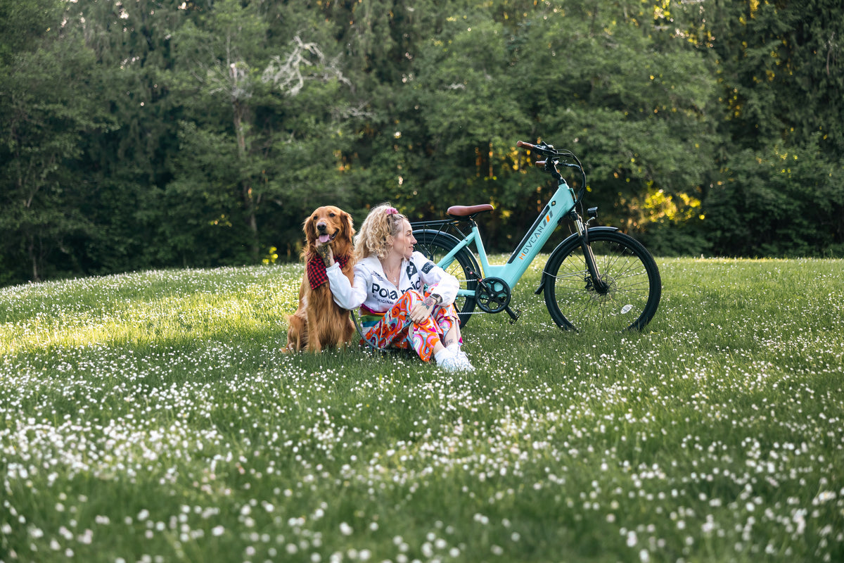Movcan V80 Commuting Electric Bike Movcan