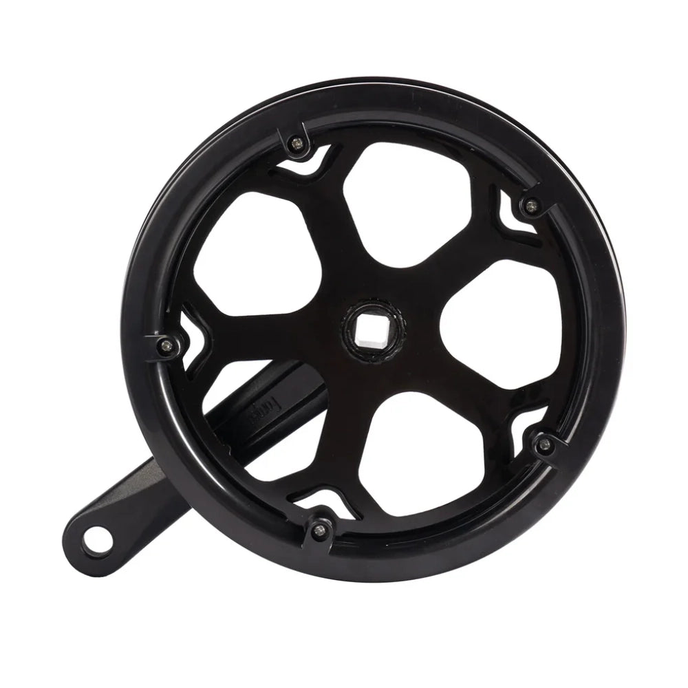 Left Crank and Chainring