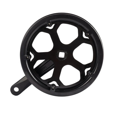 Left Crank and Chainring