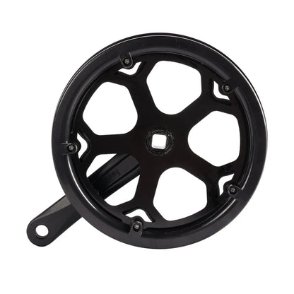 Left Crank and Chainring