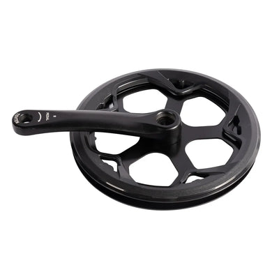Left Crank and Chainring