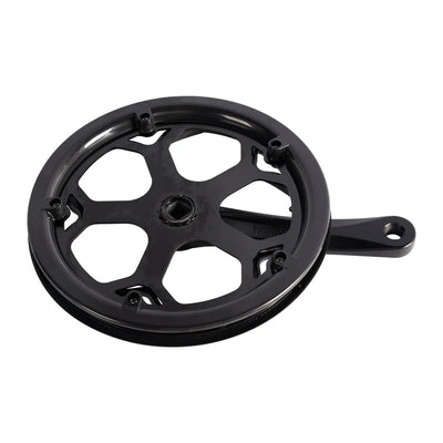 Left Crank and Chainring