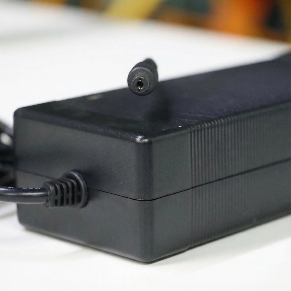V60 Series eBike Battery Charger