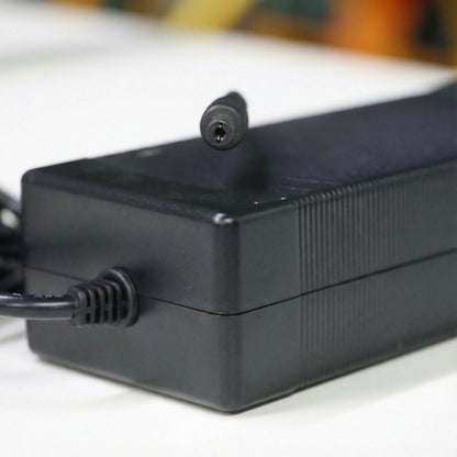 V60 Series eBike Battery Charger