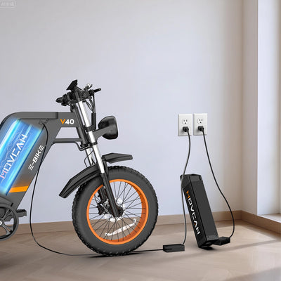 V40 Battery Charger