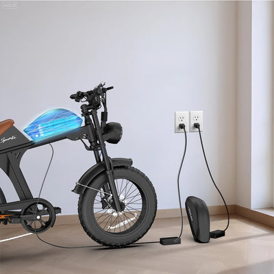 V70 Battery Charger